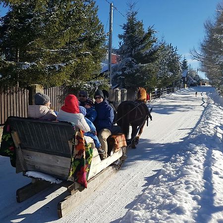 Pension Doru Beliş Esterno foto