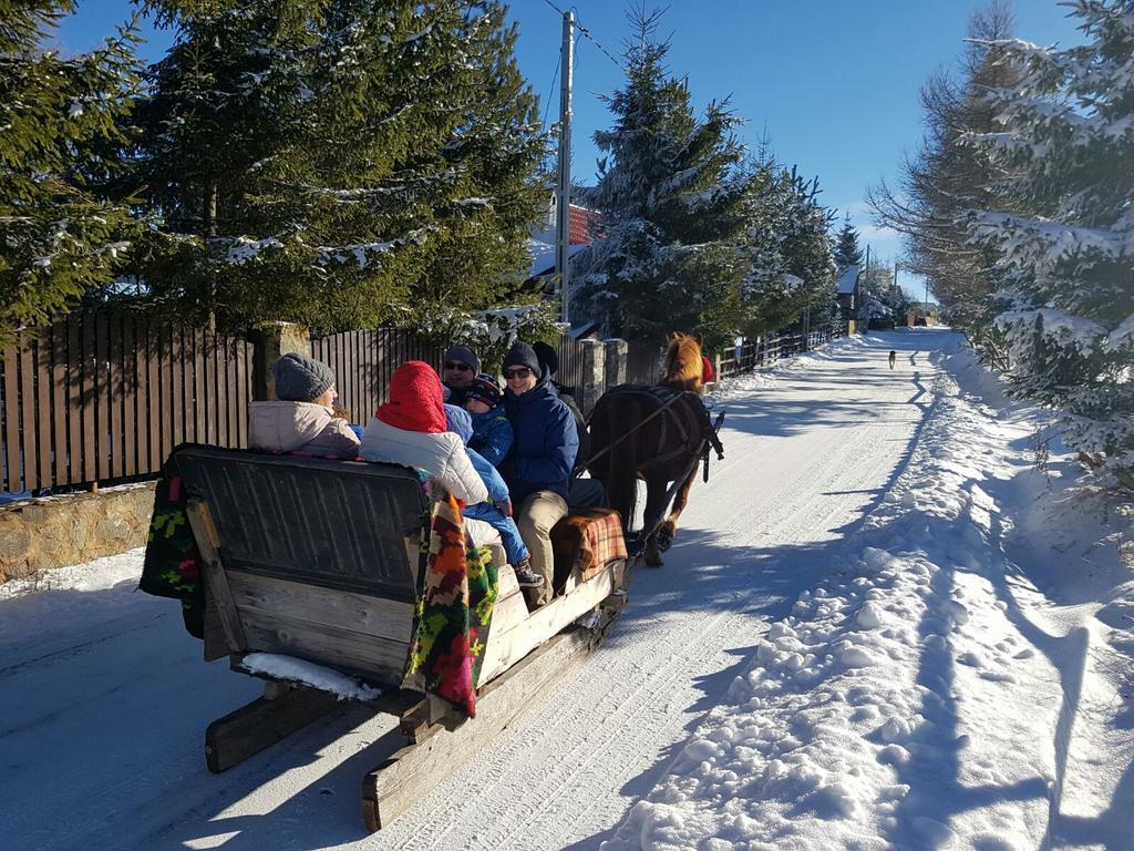 Pension Doru Beliş Esterno foto