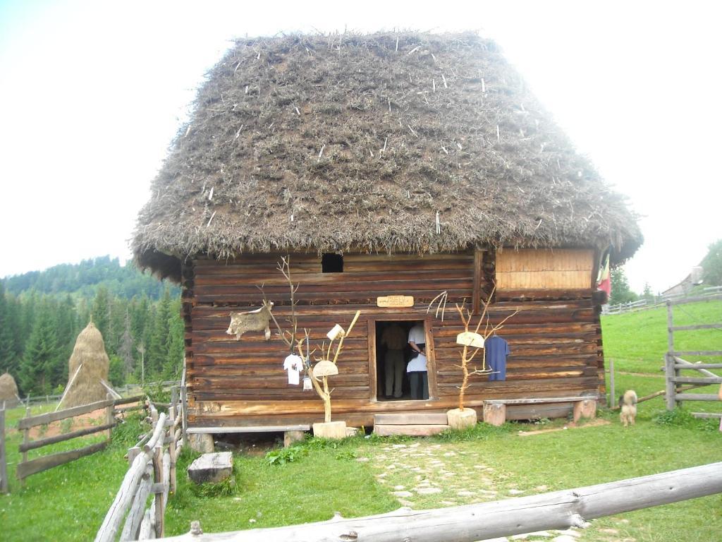 Pension Doru Beliş Esterno foto